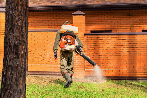 Bed Bug Clearance Verification and Documentation in Socastee